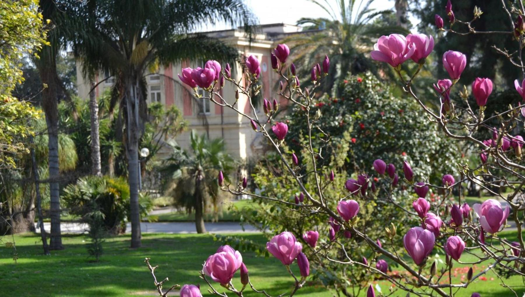 Casina Via Foria Bed & Breakfast Наполи Екстериор снимка